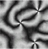 Biaxial nematic defects