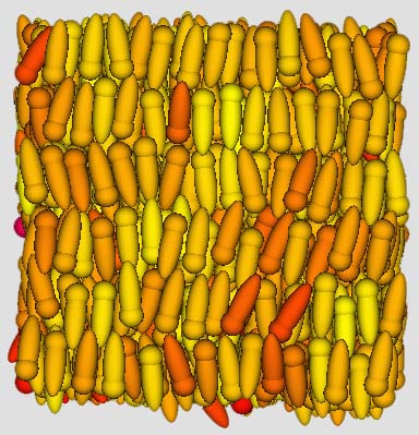pear particles sample
