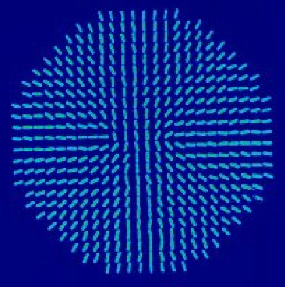 MC structure of a radial PDLC